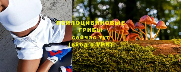 ALPHA PVP Покровск