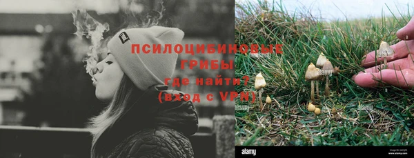 ALPHA PVP Покровск