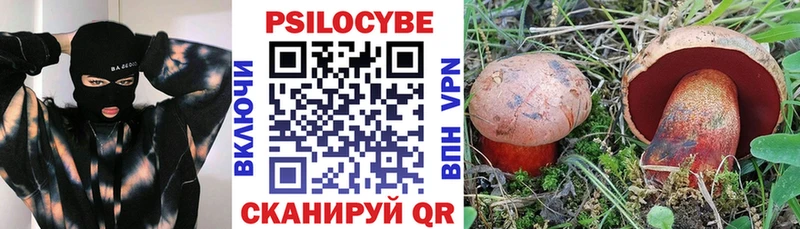 Псилоцибиновые грибы GOLDEN TEACHER  как найти   Абинск 