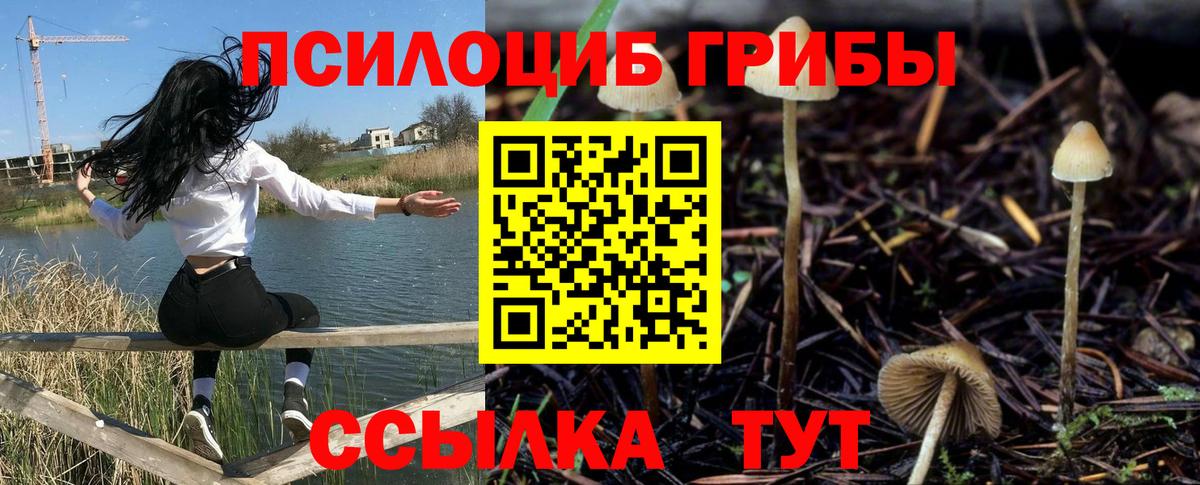 Абинск  Псилоцибиновые грибы GOLDEN TEACHER  Вход с VPN 
